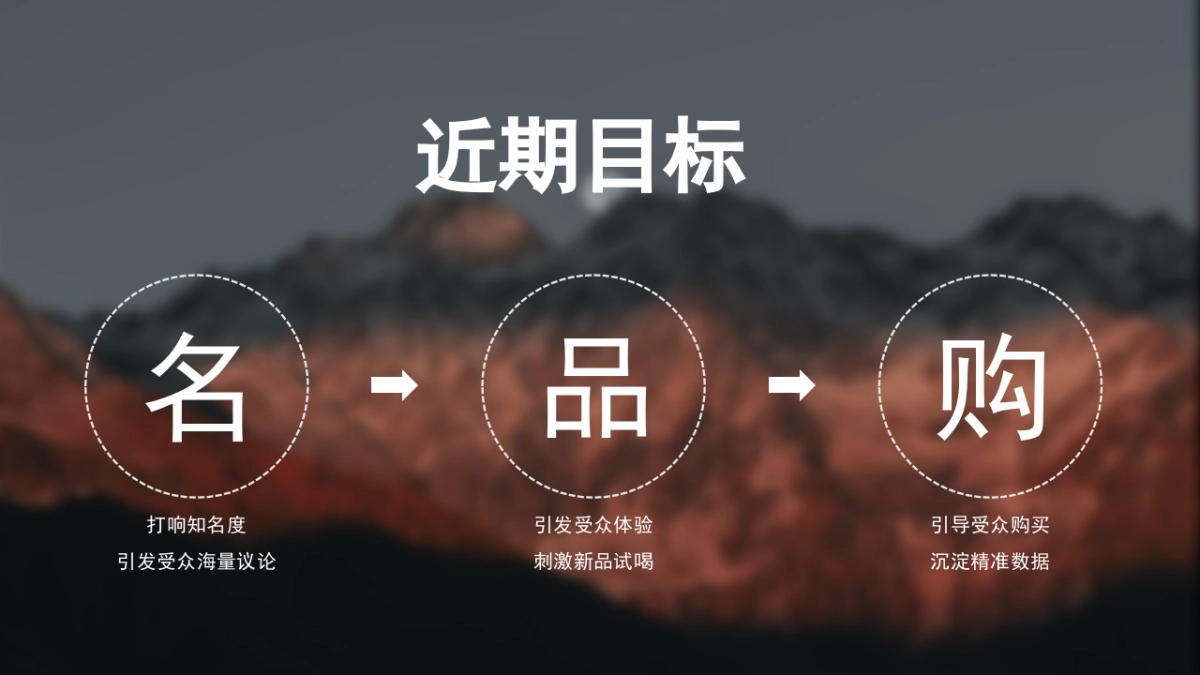 2021白酒品牌SOCIAL品牌传播方案_第7页