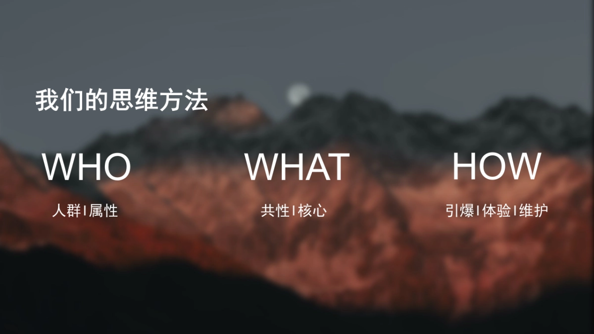 2021白酒品牌SOCIAL品牌传播方案_第8页