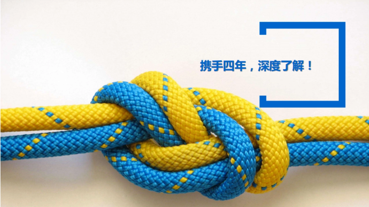 DENZA腾势汽车品牌整合营销传播_第4页