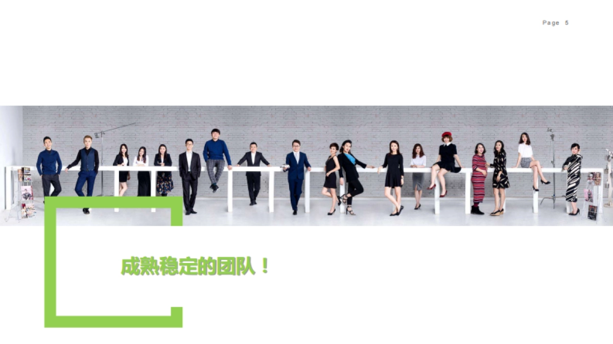 DENZA腾势汽车品牌整合营销传播_第5页