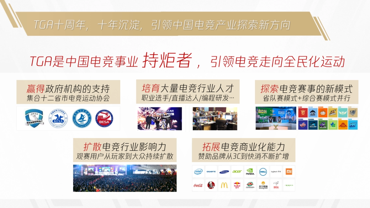TGA电竞运动会品牌传播方案_第10页
