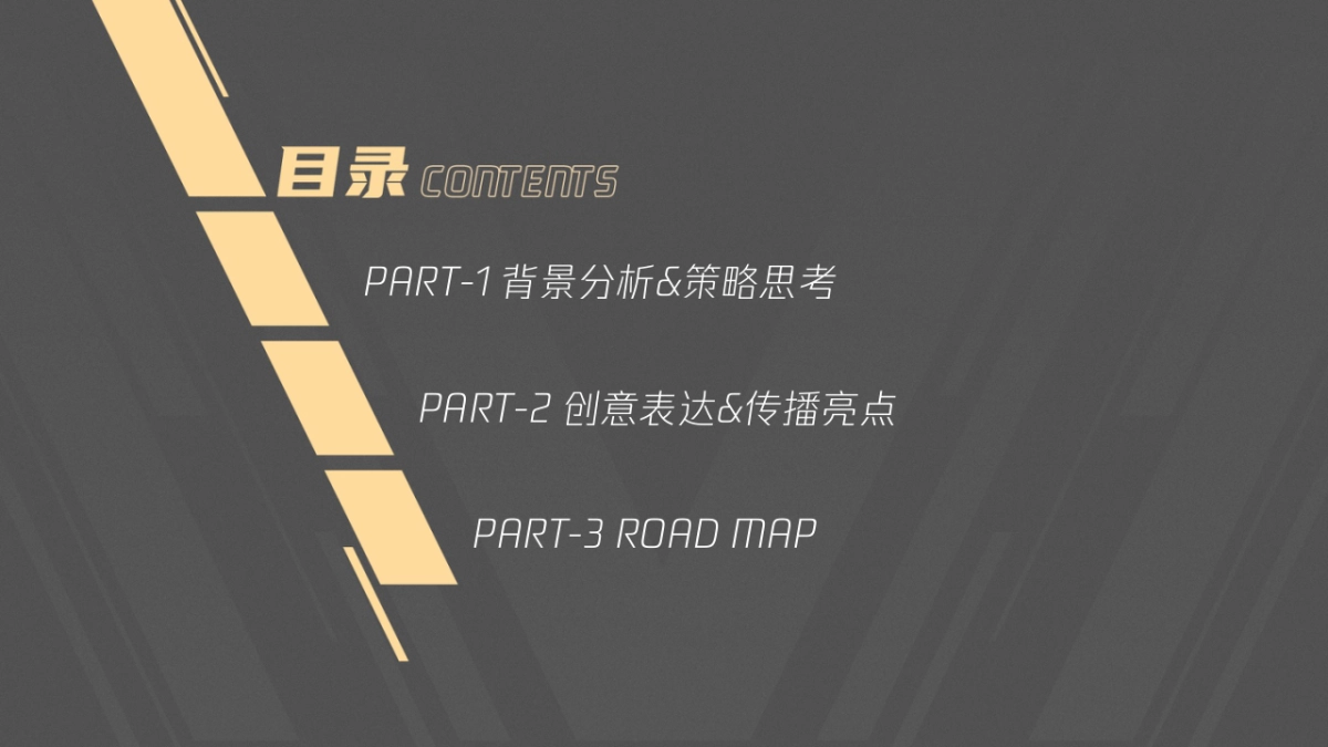 TGA电竞运动会品牌传播方案_第2页