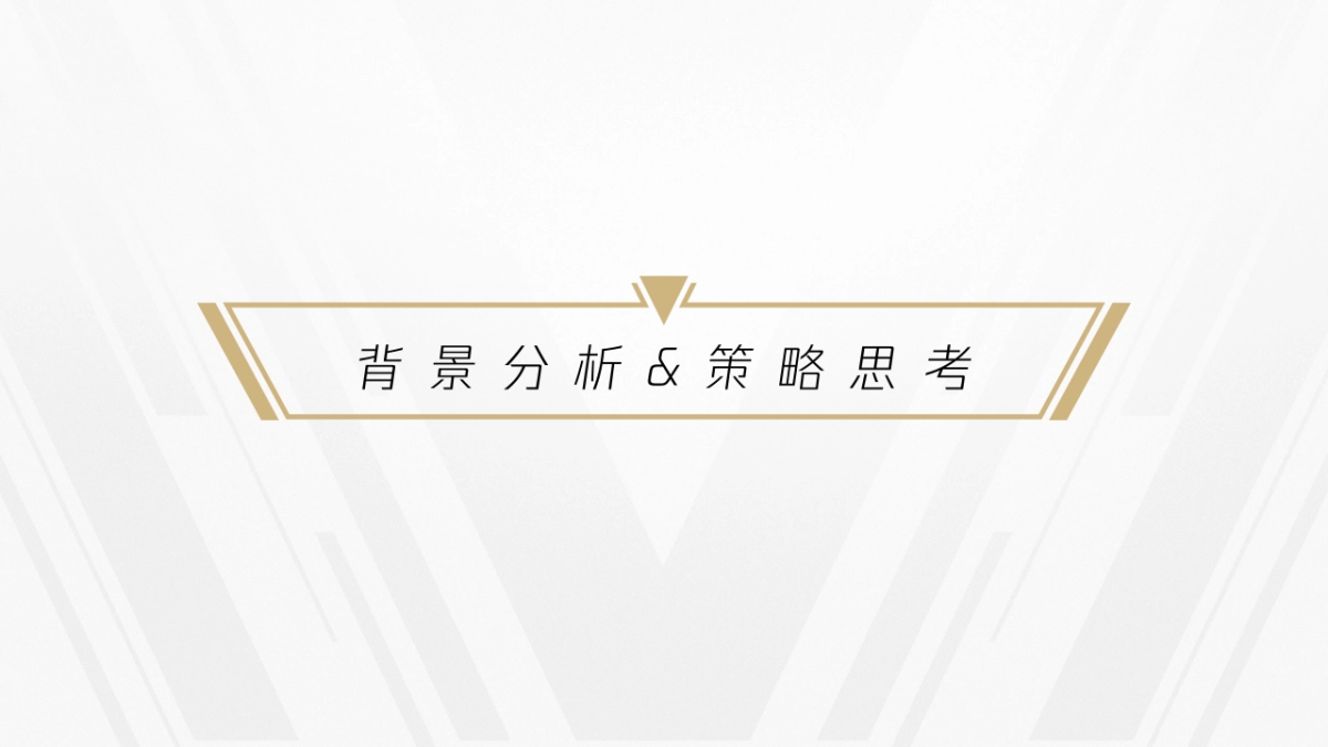 TGA电竞运动会品牌传播方案_第3页