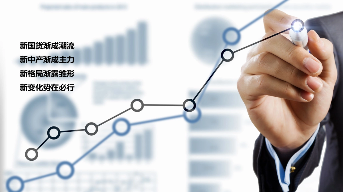 爱华仕品牌传播方案_第10页