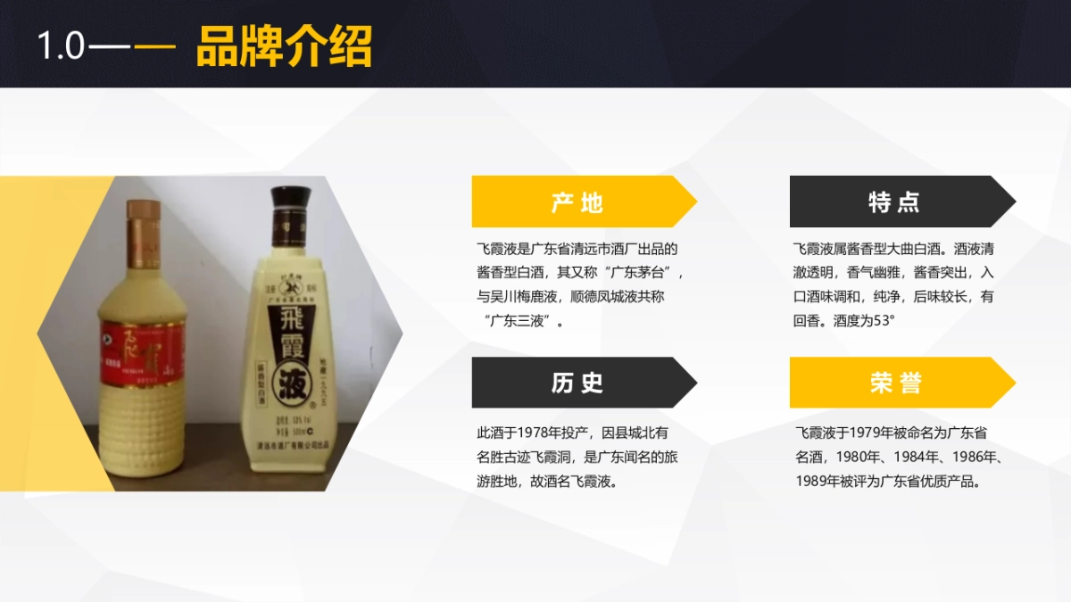 白酒类品牌网络传播方案_第4页