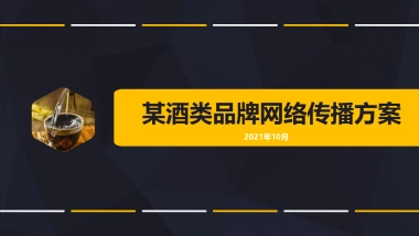 白酒类品牌网络传播方案