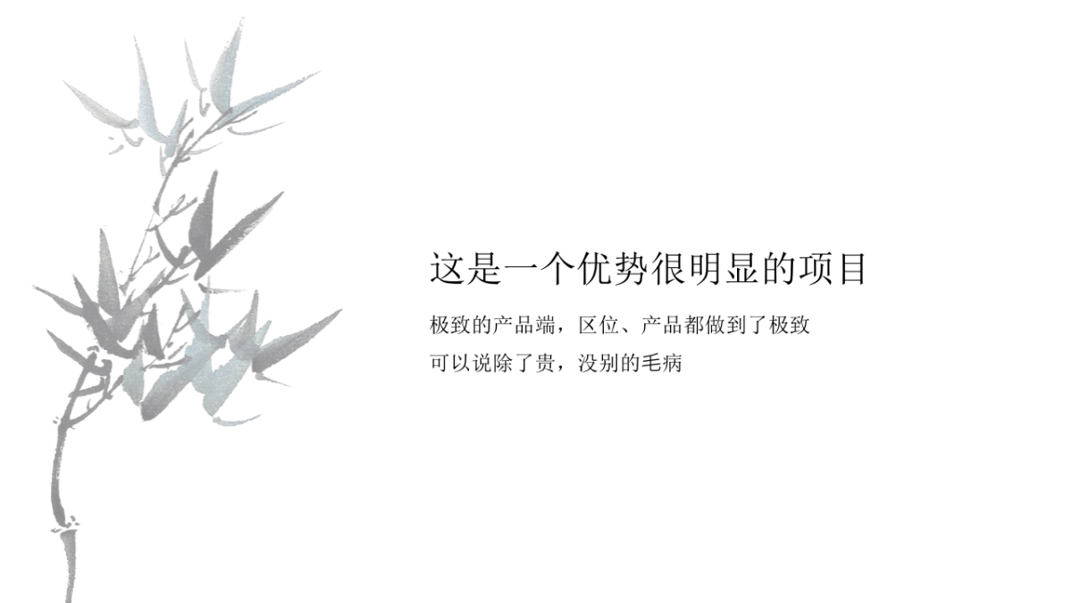 白牛品牌-新城·璞樾春秋常州最高端项目传播方案_第3页