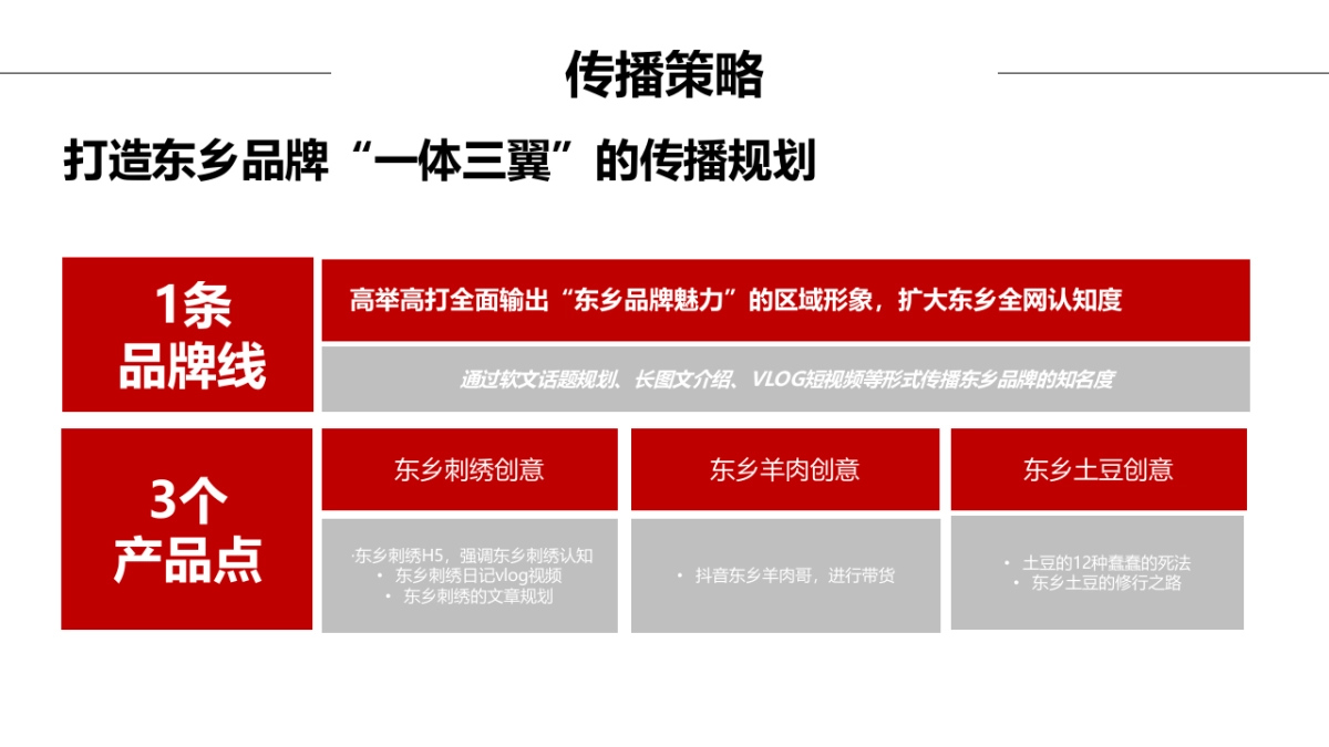 东乡品牌传播创意规划_第4页