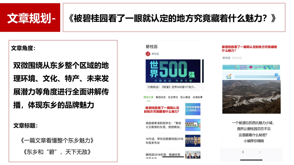 东乡品牌传播创意规划_第6页