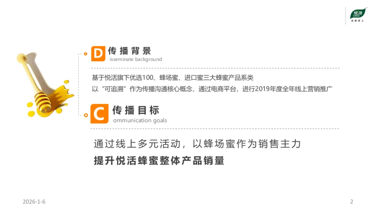 蜂蜜品牌传播推广方案_第2页