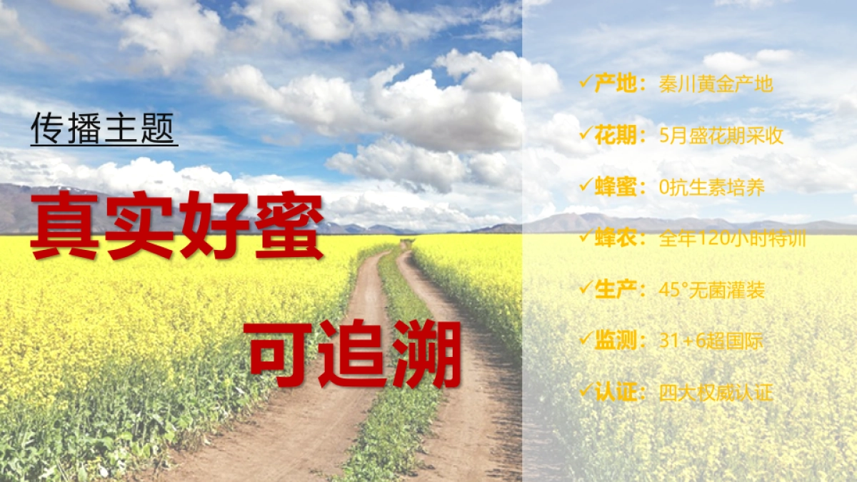 蜂蜜品牌传播推广方案_第3页