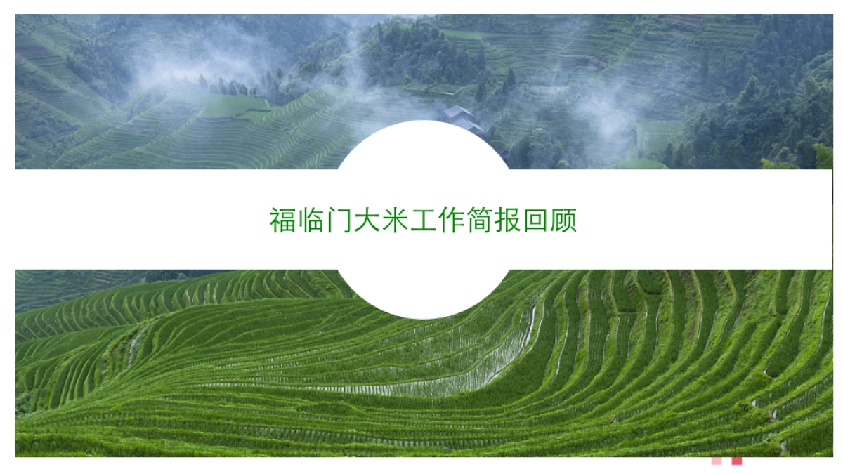 福临门品牌传播策略及代言人创意_第3页