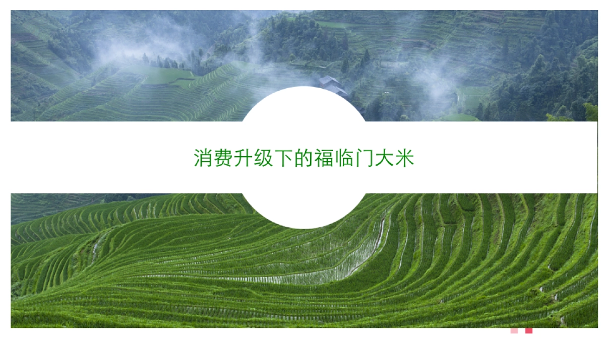 福临门品牌传播策略及代言人创意_第5页