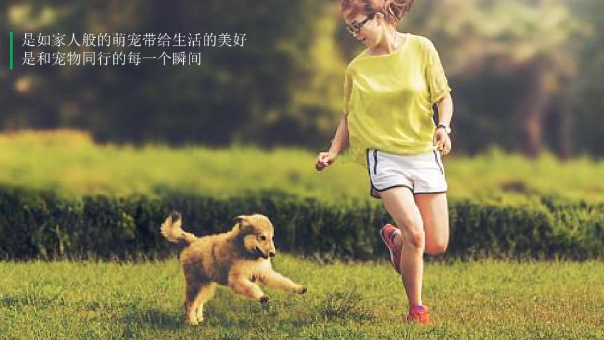 广州4A金燕达观-广州保利品牌美好生活映像传播方案_第8页