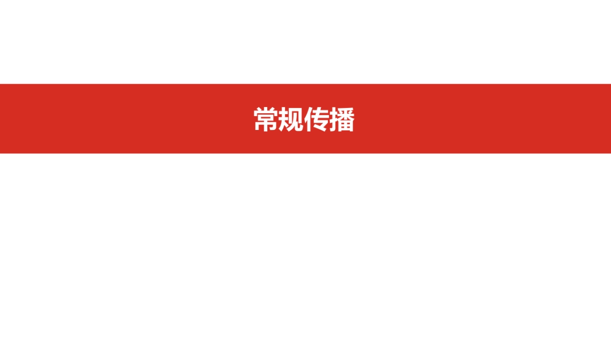 吉祥馄饨品牌宣传推广方案（美食）_第9页