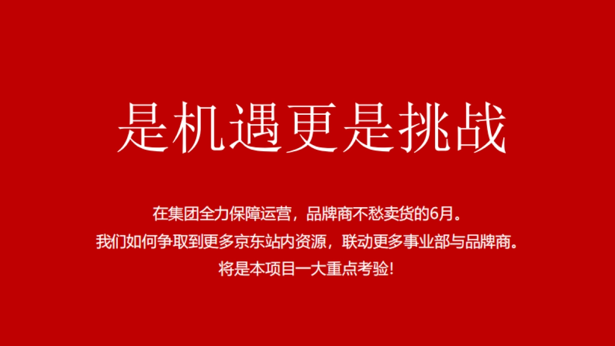 京东华北啤酒节策划方案_第7页