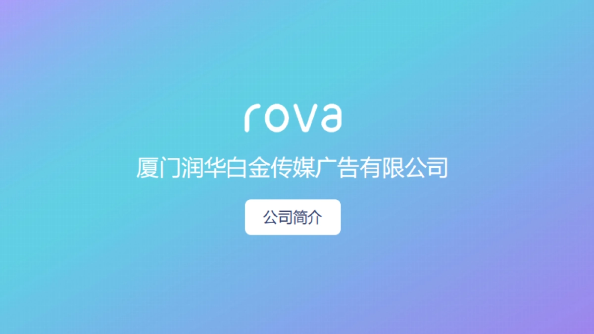 洽洽电商618年中促营销方案_第2页