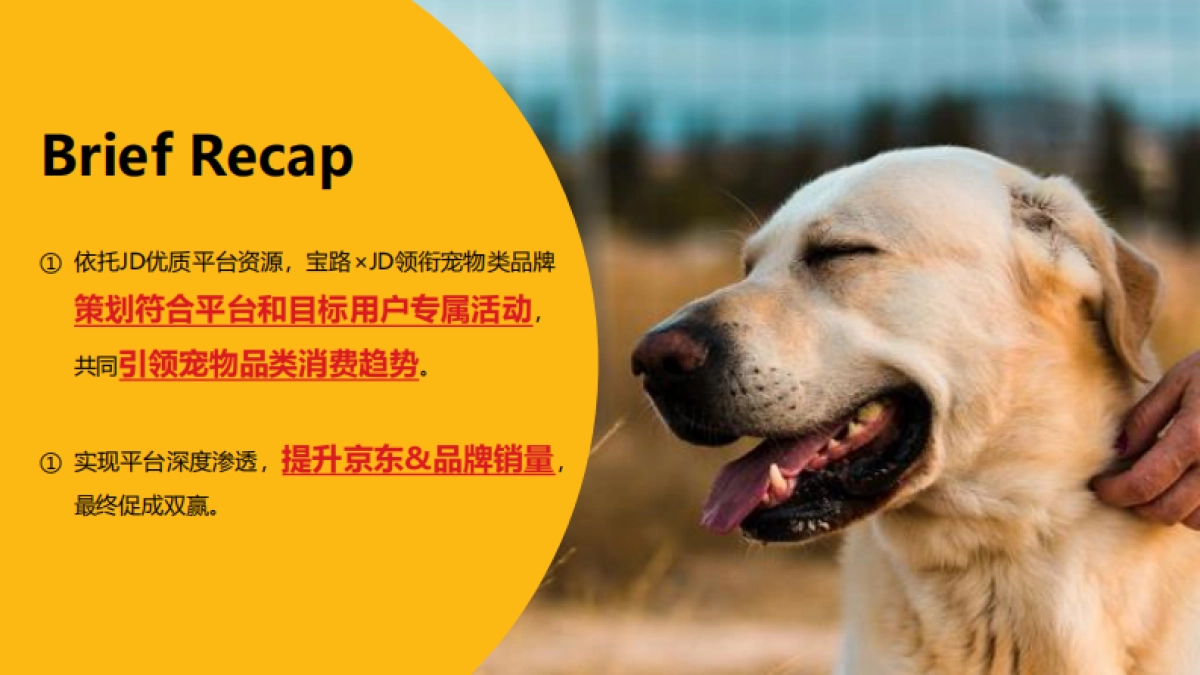 宝路×京东5月宠物品类专场创意方案_第2页