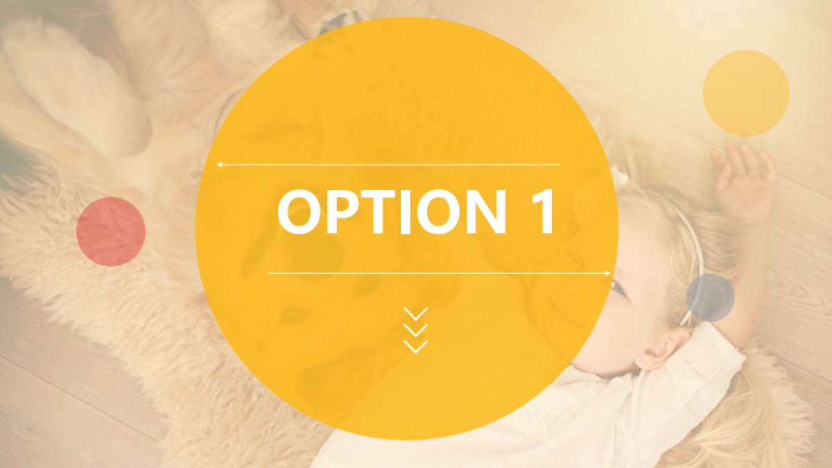 宝路×京东5月宠物品类专场创意方案_第3页