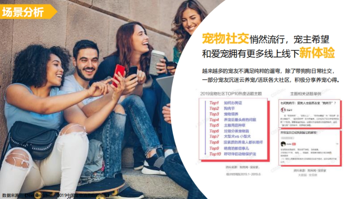 宝路×京东5月宠物品类专场创意方案_第6页