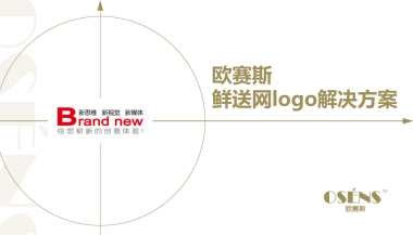 欧赛斯鲜送网生鲜电商短距配送LOGO标志市场调研创意方案