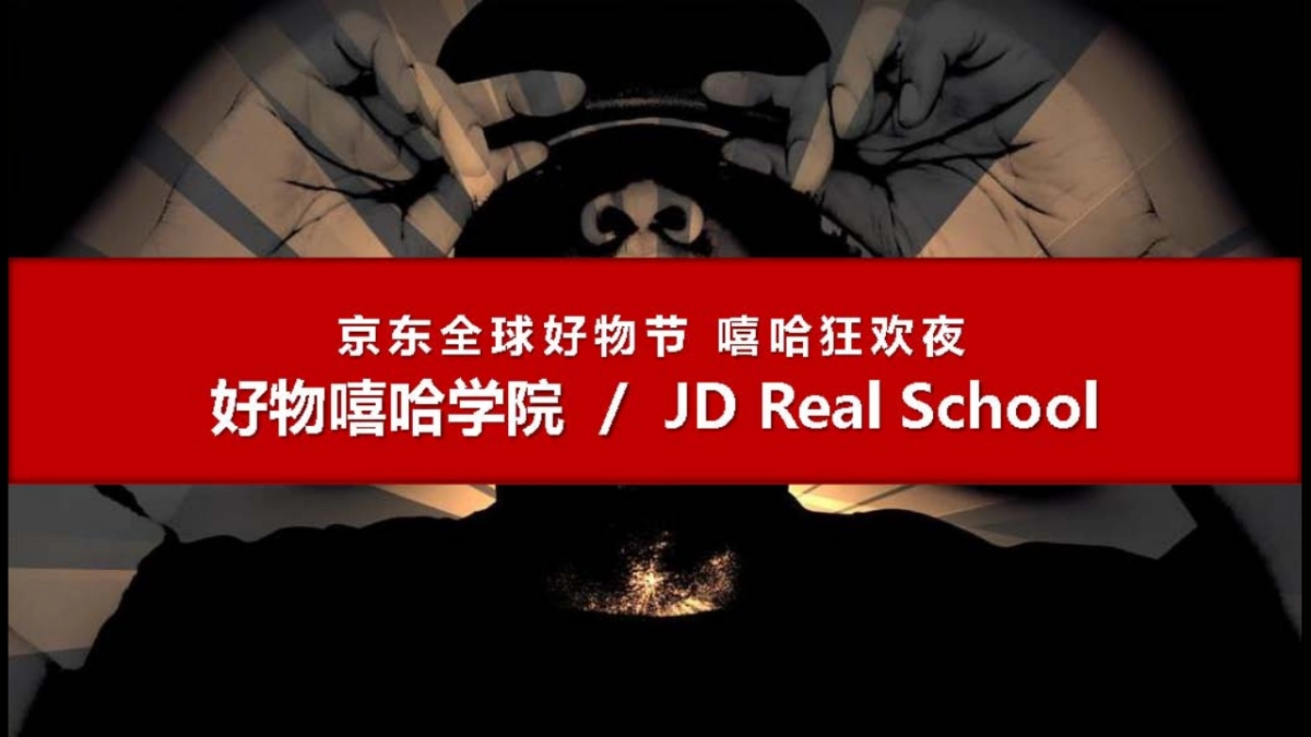 2017京东嘻哈狂欢夜传播方案_第9页