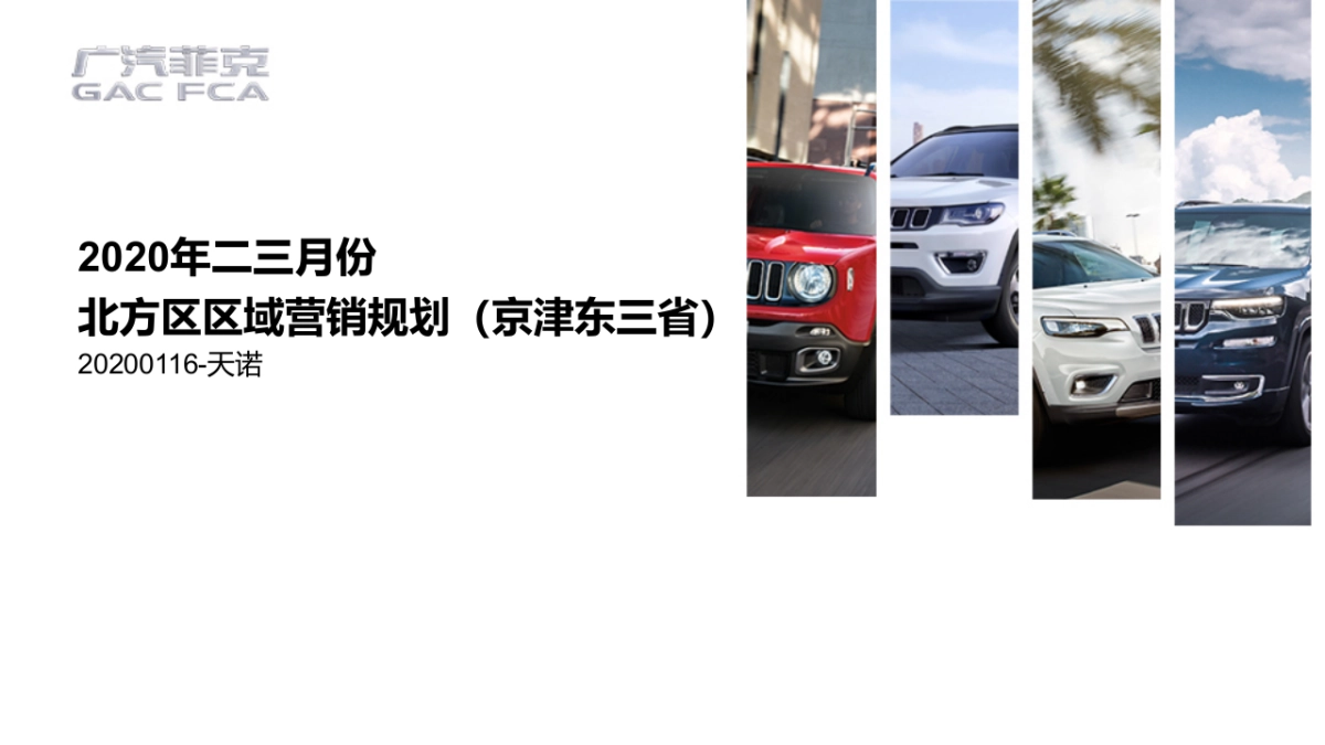 2020年二三月(京津东三省)北方区区域营销规划(简案)-电声_第1页