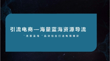 “流量蓝海“品效结合打造电商爆款