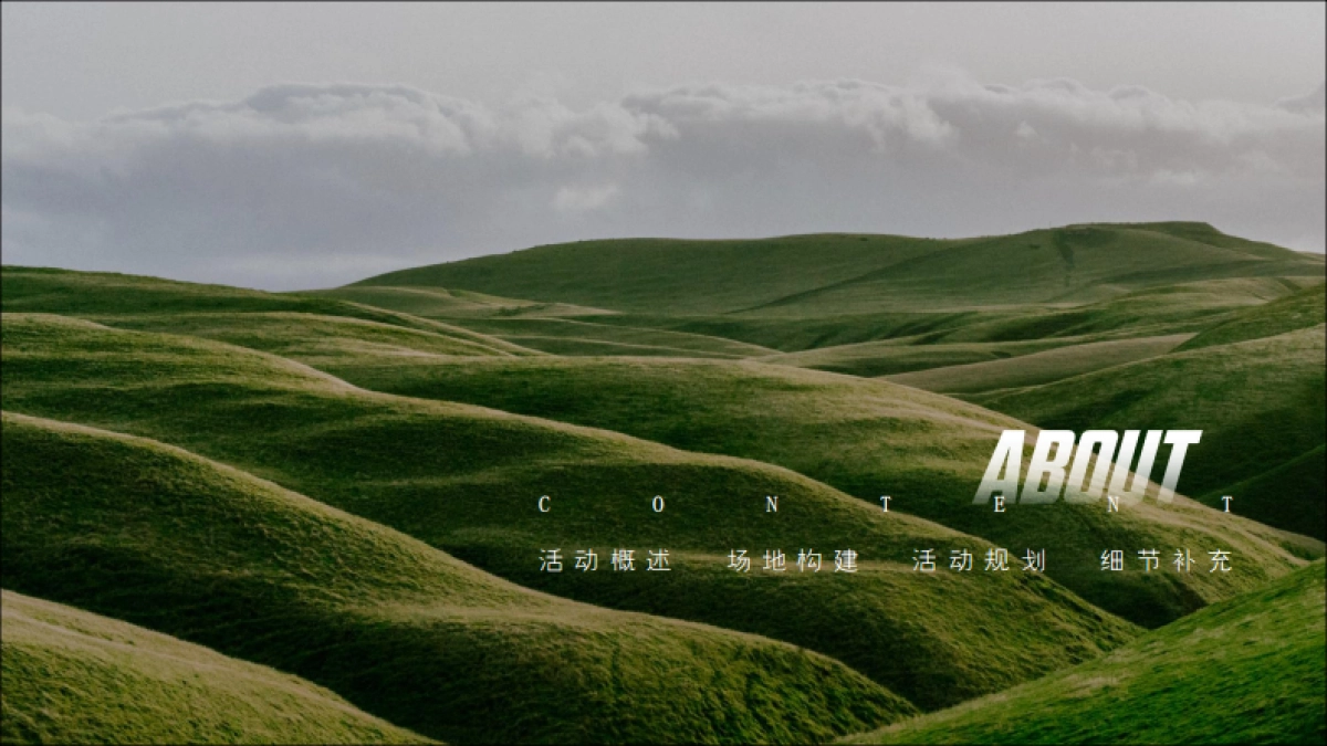 2019植物宣言产品上市发布会暨京东自营平台首发仪式活动方案_第2页