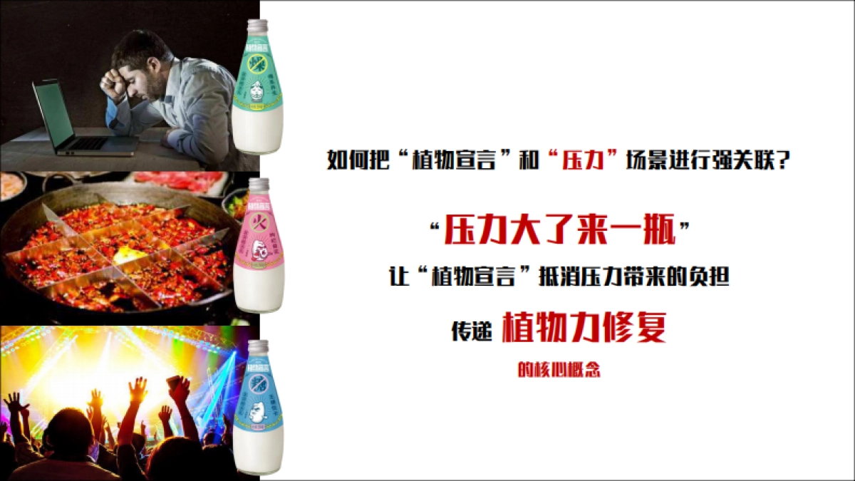 2019植物宣言产品上市发布会暨京东自营平台首发仪式活动方案_第6页