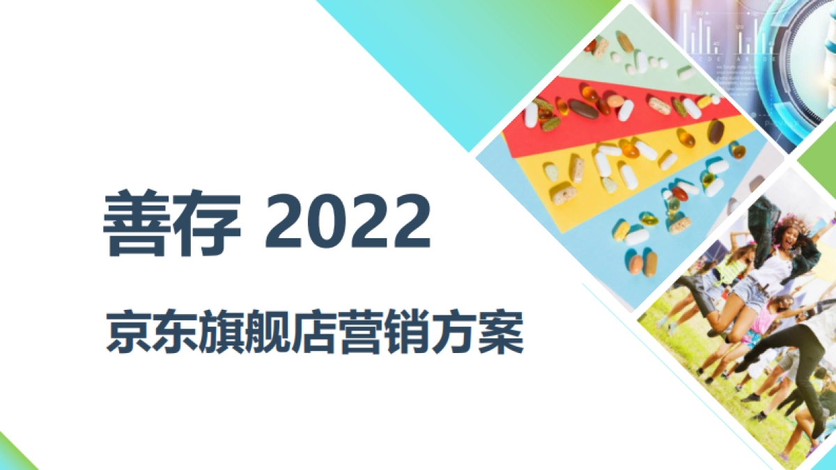 2022善存京东旗舰店营销方案_第1页