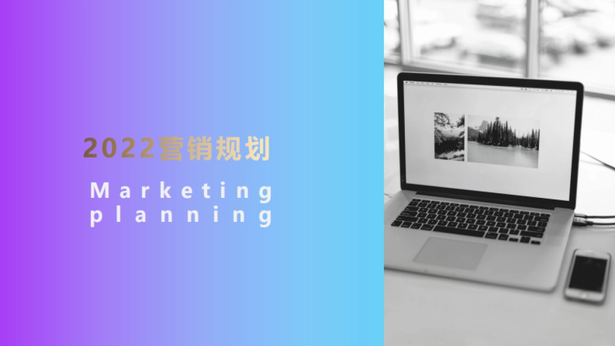 2022善存京东旗舰店营销方案_第10页