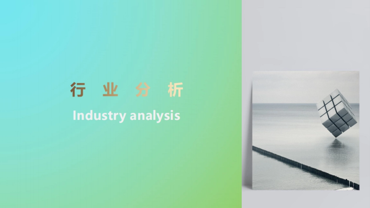 2022善存京东旗舰店营销方案_第2页