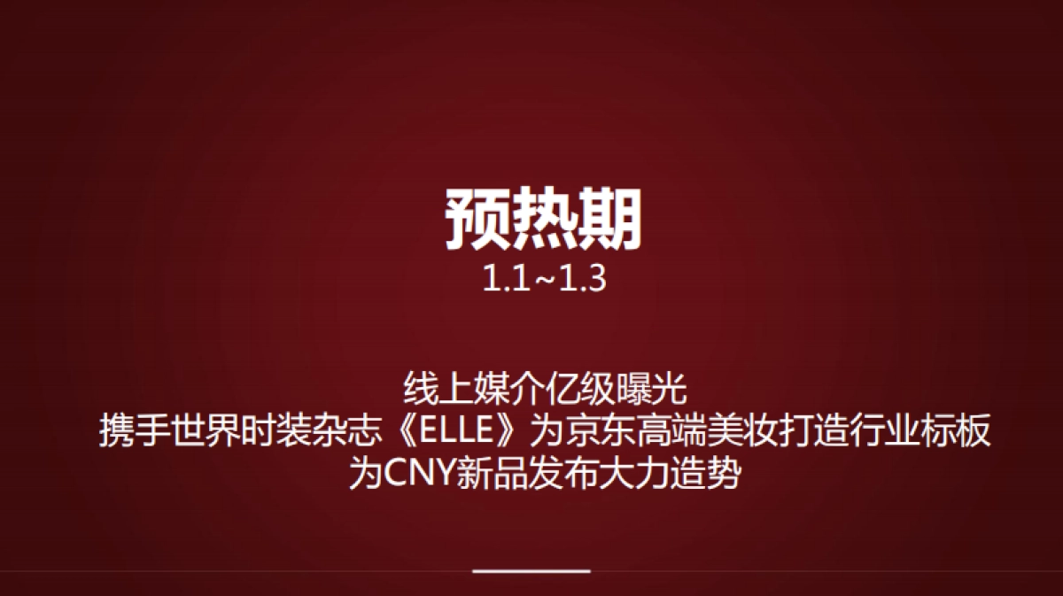 电商策划营销方案:SK-II超级新品日_第5页