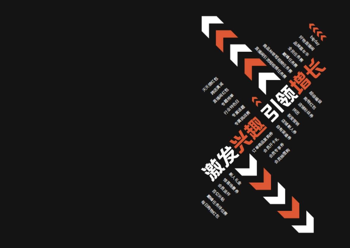 抖音电商大促营销宝典-抖音电商_第2页