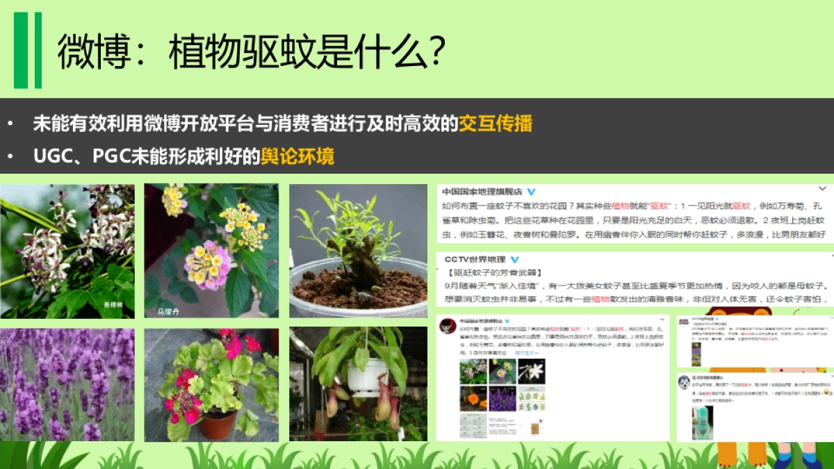 【立白】立白超威贝贝健2017公关传播项目v2.0-20170121-压缩版_第4页