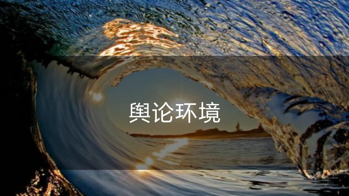 2017年远洋集团年度公关传播规划_第10页