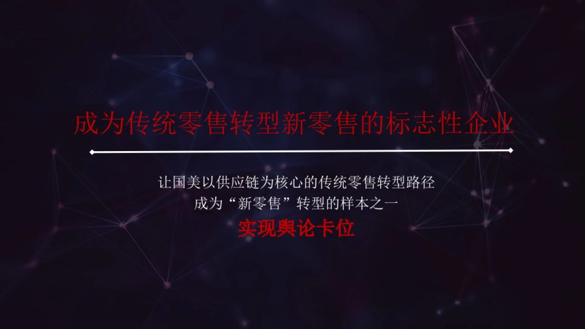 国美电器2017年度品牌公关方案_第6页