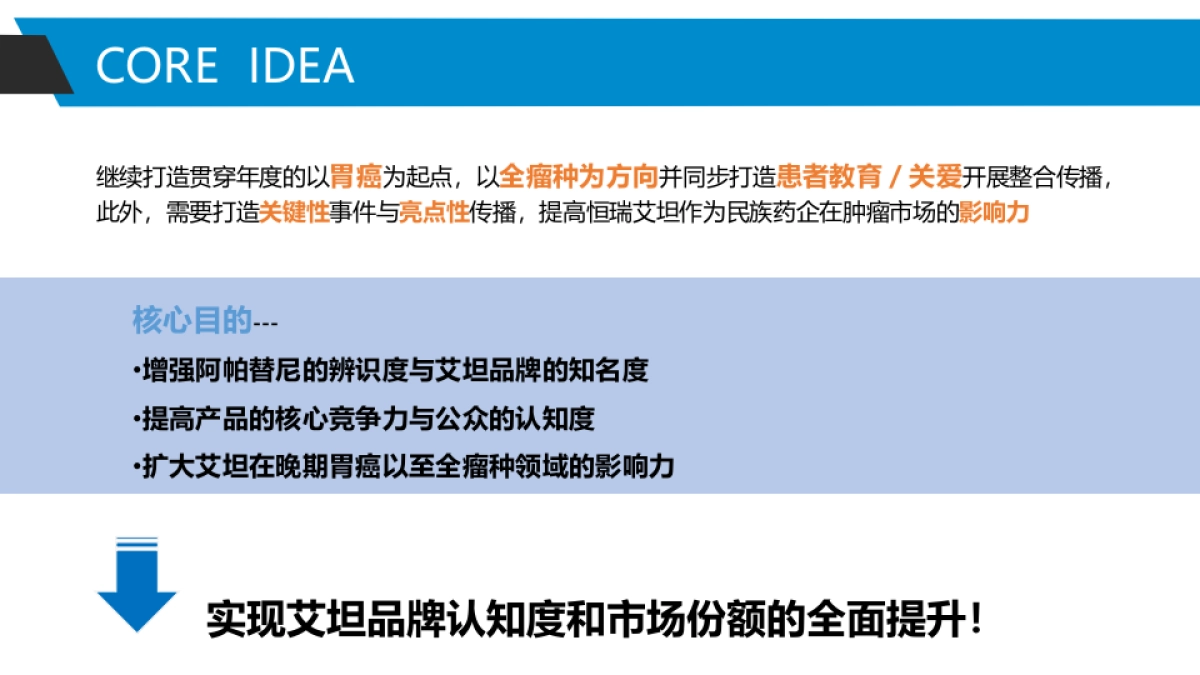 恒瑞艾坦2017年度公关传播方案_第8页