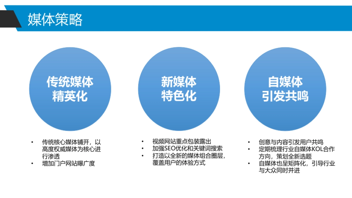 恒瑞艾坦2017年度公关传播方案_第9页