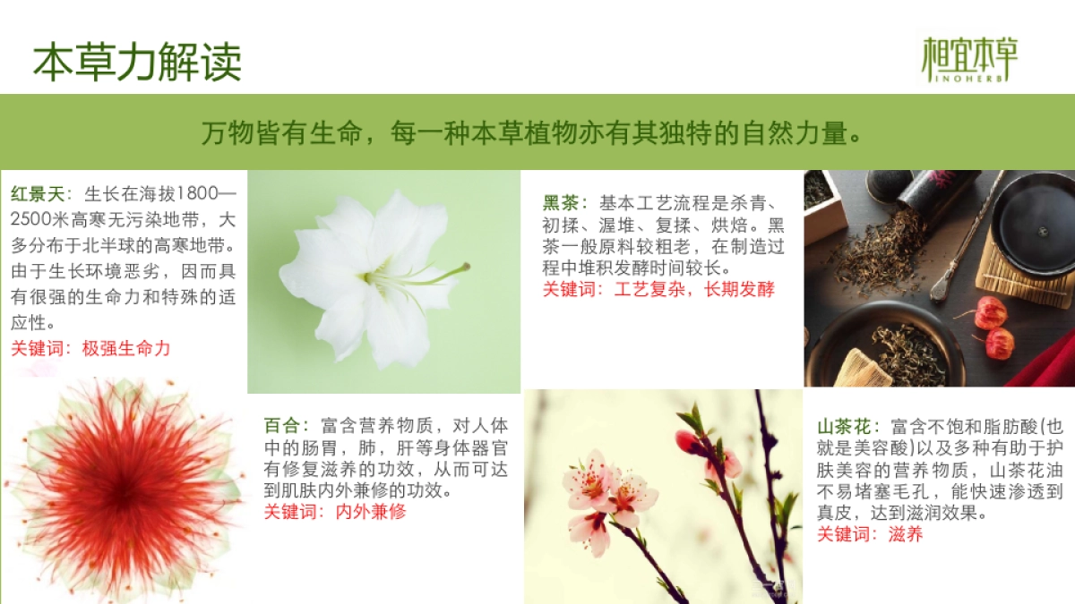 相宜本草2015年度网络公关传播方案 20150427_第10页