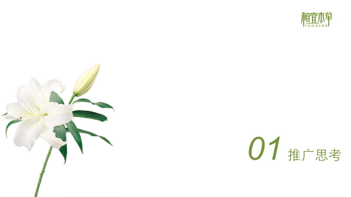 相宜本草2015年度网络公关传播方案 20150427_第4页