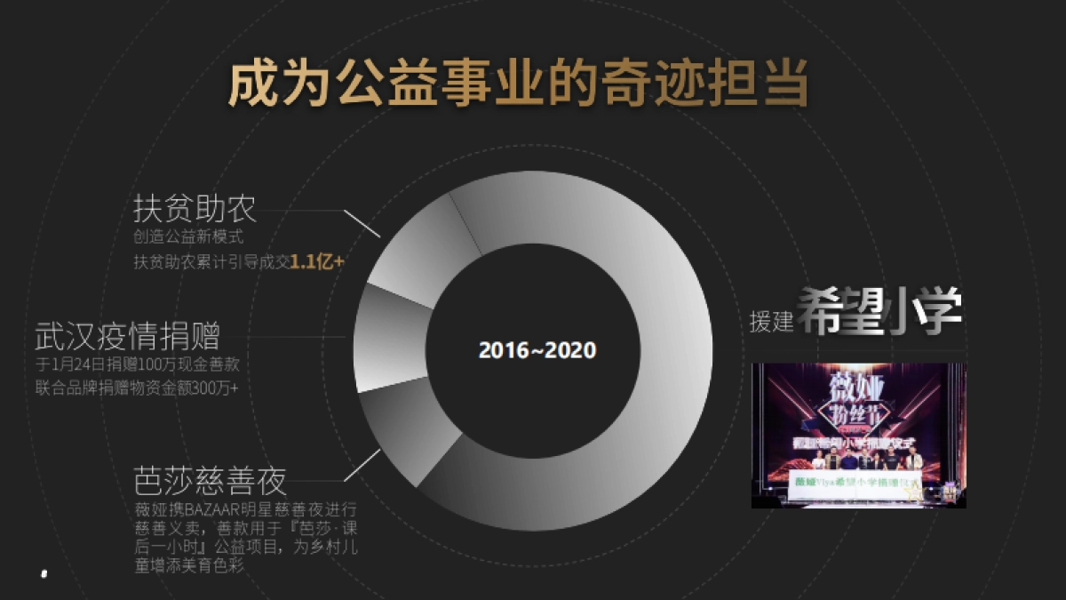 2020薇娅感恩节招商合作方案_第8页