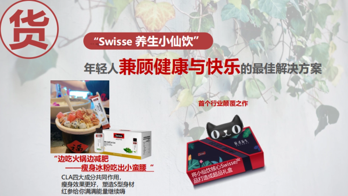 swisseX小龙坎超品日合作方案介绍_第4页
