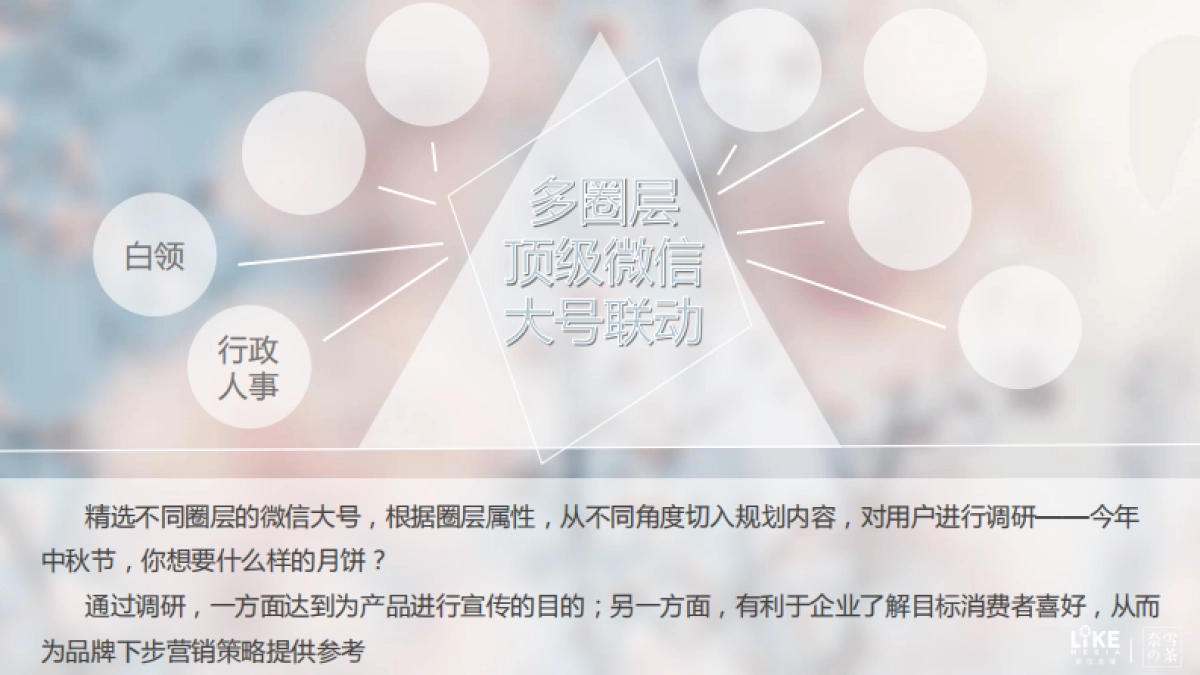 奈雪中秋月饼创意合作方案_第5页