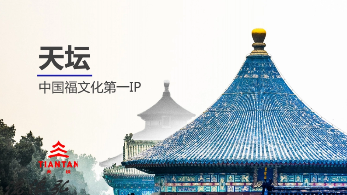 坛IP文创授权合作方案_第5页