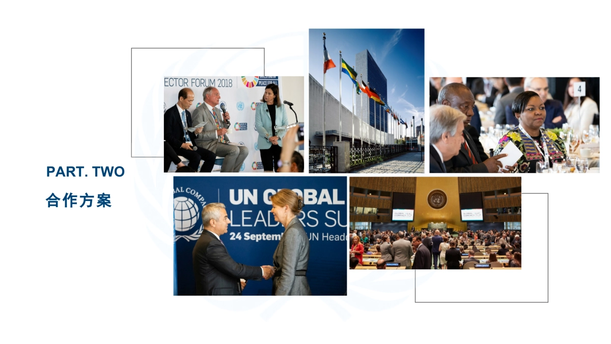 中国国际商会联合国可持续发展目标行动委员会合作方案_第10页