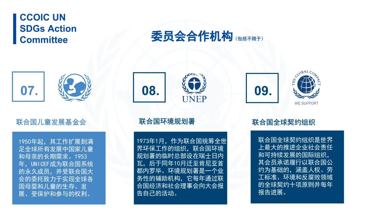 中国国际商会联合国可持续发展目标行动委员会合作方案_第9页