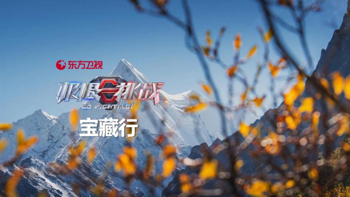 《极限挑战·宝藏行》合作方案20200604_第1页