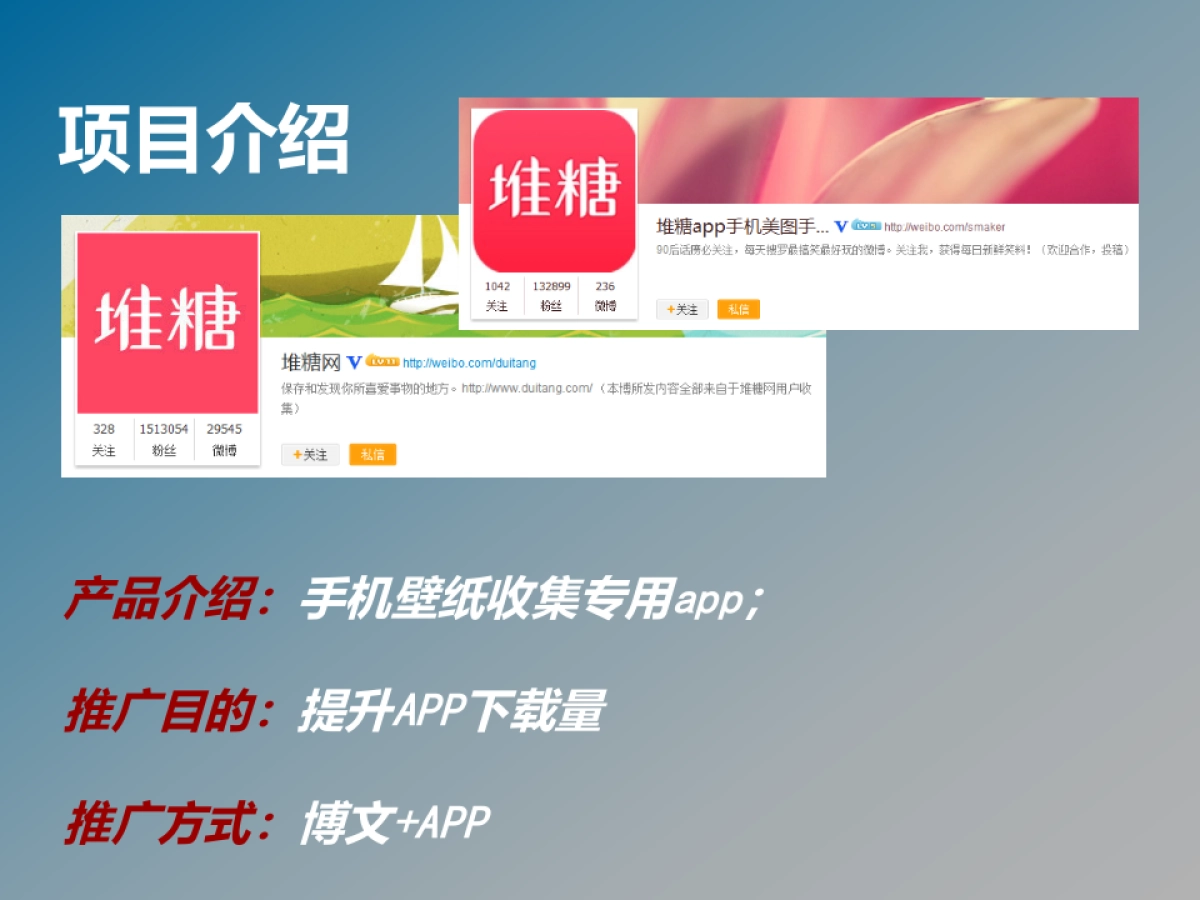 APP堆糖网（小结报告）_第2页